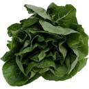 Spinach is another food that works with the Motivating Health weight loss program